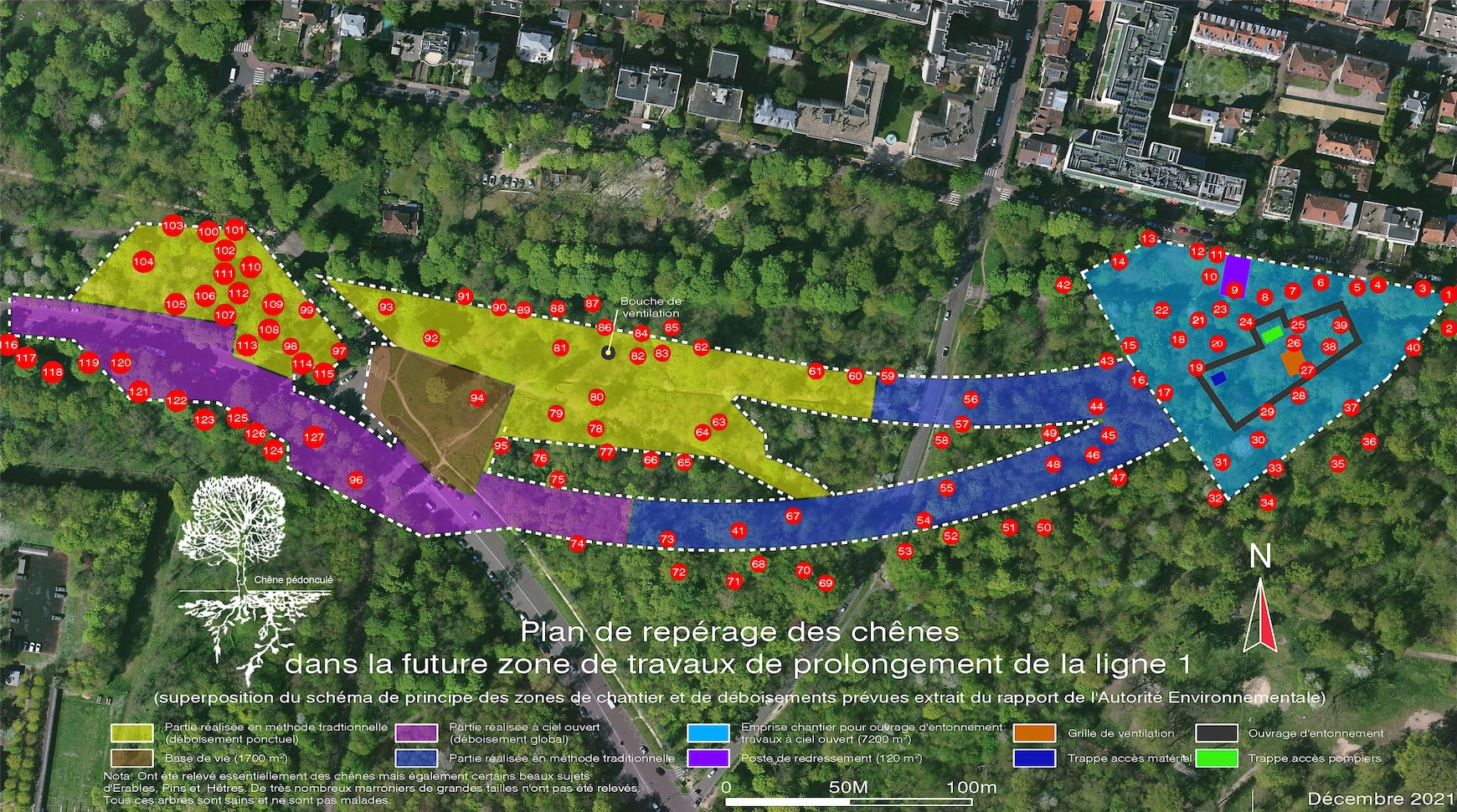 Plan de repérage des chênes